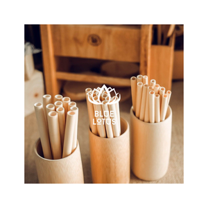 MÁS VENDIDO, Altamente Recomendado, Pajitas de Bambú Reutilizables de Alta Calidad, Ecológicas, Juego de Pajitas Clásicas para Beber, Cepillo de Limpieza, Azul - Product Image 5