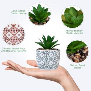 Set di 2 Piccoli Vasi in Ceramica con Fiori Artificiali Succulenti, Decorazione per Casa e Ufficio, Stile Rustico, Piante Verdi per Interni - Product Image 2