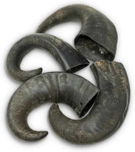 Natural Buffalo Horn Dog Chews Eco-Friendly Rounded Customized <b>Weight</b> Pet Food Crafted by ZF global export - Product Image 4