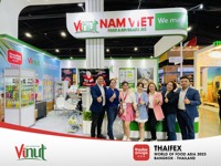 VINUT 1L Jus de fruits frais pressés certifié Halal, boisson vietnamienne, fournisseur en gros OEM ODM pour l'exportation