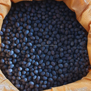 Premium BLACK LOTUS SEEDS/KAMAL SEEDS 100% Natural Bulk Competitive Prices | Trusted Vietnamese Supplier 50kg PP Bag 12 Months - Product Image 1