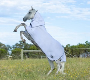 Couverture d'été imperméable et respirante pour chevaux avec rembourrage en coton – Le choix des fournisseurs - Product Image 2