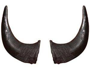 Chupete de Cuerno de Búfalo Natural de Calidad para Mascotas, Alimento Seguro para Perros, Pulido y Crudo, Estilo Náutico Animal - Product Image 5