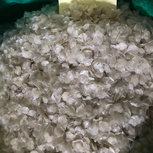 เกล็ดปลาแห้งจำนวนมากสำหรับส่งออก |   ทำความสะอาดแล้วและตากแดดให้แห้ง - Product Image 4