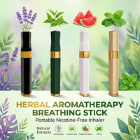 Inhalateur nasal portable aux herbes naturelles pour une respiration fraîche, relaxation quotidienne et bien-être – Meilleure vente