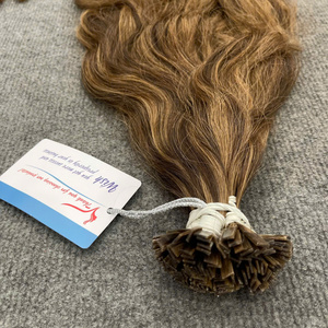 Extensiones de Cabello Vietnamitas Planas de Color Premium al Por Mayor – Sedosas y Sin Enredos - Product Image 4