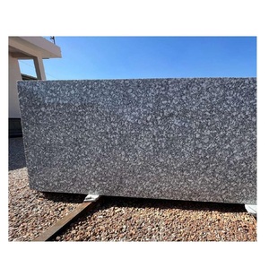 Dalle de granit blanc facile à nettoyer avec surface polie brillante pour comptoir de cuisine moderne et plateau de table à manger - Product Image 1
