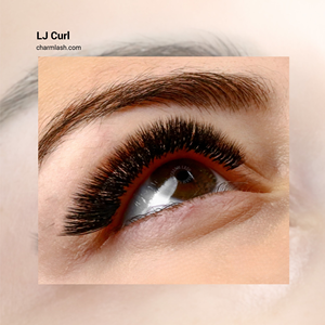 Extensions de cils en gros Charmlash Manhua Camellia Lash OEM LJ LB LC LD Volume Dramatic Lift Personnalisables - Product Image 5