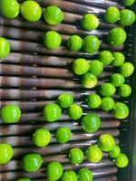 Export Standaard Biologische Pitloze Lime Vietnam Lang Hoge Premium Kwaliteit Verse Groene Groothandel Bulk Hoeveelheid TECHMIFOOD Merk