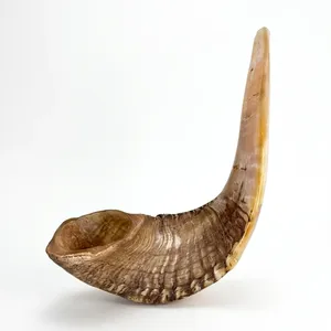 Natürliches Tierhorn-Kunsthandwerk, poliert, religiöses Dekorationsstück, Sammlerstück, Dekoration, religiöses Sammlerstück, Widderhorn - Product Image 5