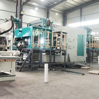 Machine entièrement automatique de fabrication de barquettes à œufs en papier recyclé pour élevages avicoles, moule 30 alvéoles