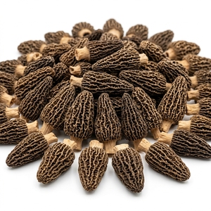 Champignons Morilles Sauvages Séchés de Qualité Supérieure, Champignons Gourmets de Qualité Alimentaire, Saveur Naturelle Riche, Vente en Gros, Fournisseur d'Exportation - Product Image 6