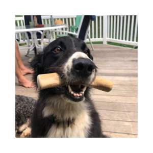 Bâton à mâcher pour chien en bois de café écologique vietnamien - Durable, sûr, naturel, jouet de nettoyage des dents et d'exercice longue durée pour chiens - Product Image 2