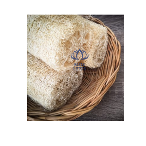 HIGH QUALITY Safe Clean Eco Loofah <b>Sponge</b> 2026 Pure Plant Fiber Pad Best For Body <b>Exfoliation</b> And Kitchen Cleaning Direct Price - Product Image 1