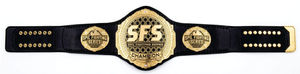 Ceinture de champion poids lourd 2026, nouveau style, plaque en métal zinc/laiton avec sangle en cuir véritable, ceinture fantaisie - Product Image 1