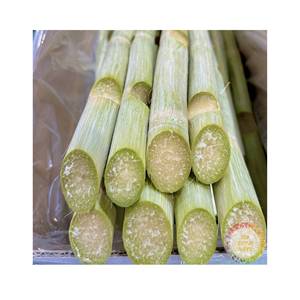 Jugo de Caña de Azúcar de Vietnam, Cañas de Caña de Azúcar con Alto Contenido de Brix (20%), 100% Natural, Fresco, Pelado y Limpio, 20 kg/Caja para la Industria de Bebidas - Product Image 1