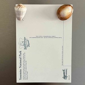 Aimants décoratifs pour réfrigérateur, accessoires de cuisine et de maison, aimants personnalisés en forme de coquillages - Product Image 4