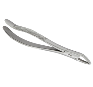 Forceps dentaires manuels en acier inoxydable allemand de haute qualité pour l'extraction des dents – Instruments chirurgicaux pour dentistes - Product Image 5