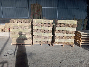 Canne de bambou légère et robuste pour le soutien des plantes et la construction, facile à installer, Vietnam - Product Image 6