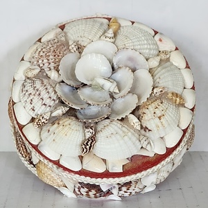 Boîte à bijoux au design coquillage, très vendue, boîtes de rangement en coquillages naturels, organiseurs de décoration côtière - Product Image 2