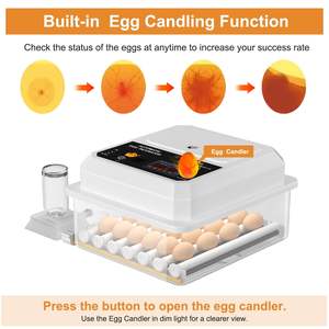 Incubateur à 36 œufs avec rotation automatique et contrôle de la température pour œufs de poule à couver, de caille et de canard. - Product Image 1