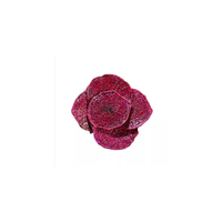 Vietnamese gedroogde drakenvrucht (pitaya) plakjes rood wit gemengd zoet snack export bulk levering