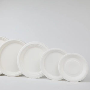 Assiette jetable biodégradable en bagasse de canne à sucre de 9 pouces, sans plastique, non toxique, certifiée ISO, compostable, écologique, sans BPA - Product Image 2