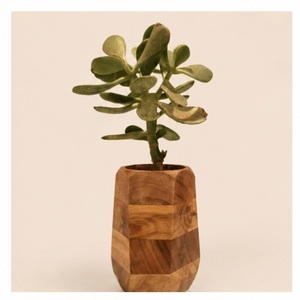 Handcrafted Geometric <b>Wooden</b> Succulent Planter Eco-Friendly Natural <b>Solid</b> Wood Flower Pot Modern Indoor <b>Desk</b> Decorative Vase - Product Image 3