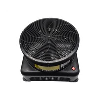Sky Dancer Gonflable avec Ventilateur Électrique et Éclairage LED, Construction en Plastique et Métal, Alimentation CA