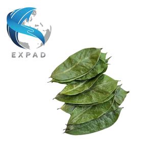 เครื่องดื่มชาธรรมชาติ guanabana แบบพรีเมี่ยม - Product Image 1