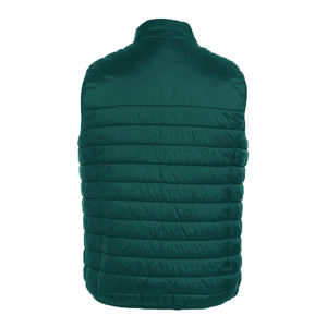 Gilet matelassé décontracté pour homme, sans manches, chaud, avec fermeture éclair, pour l'hiver et les activités de plein air, personnalisable, à capuche, en polyester/coton, 100 % polyester - Product Image 4