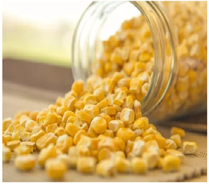 Snack de Maíz Agrio Orgánico Común FD, Empaque al Vacío a Granel, Alimentación Saludable Shubhalaxmi, 18 Meses de Vida Útil - Product Image 1