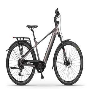 Vélo électrique le plus vendu Ecobikes MX 300 Gris Doré - Product Image 1