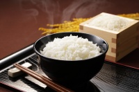 Fournisseur en gros de riz instantané de qualité supérieure, texture et arôme originaux, en vrac, 1 kg, pour importateurs