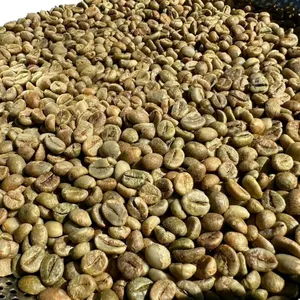 4.4 $/kg vente en gros de café vietnamien au détail original CAU DAT LAM DONG café arabica robusta café cru échantillons gratuits wa + 84938736924