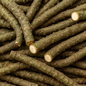 Tige de Giloy (Tinospora Cordifolia) brute de qualité supérieure pour applications ayurvédiques à base de plantes - Product Image 3