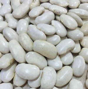 ถั่วแดงเม็ดใหญ่ ไทยแท้ อบแห้ง ปลูกแบบทั่วไป บรรจุภัณฑ์แบบขายส่ง - Product Image 4