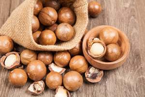 Nueces de Macadamia de Origen Austriaco Más Vendidas con Calidad de Exportación para Venta al por Mayor con Precios Competitivos y Descuentos - Product Image 4