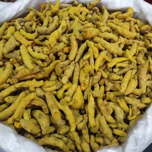 Curcuma à haute teneur en curcumine, racine entière séchée, doigts de curcuma naturels colorés, emballage propre pour marchés d'importation, frais et en vrac - Product Image 3