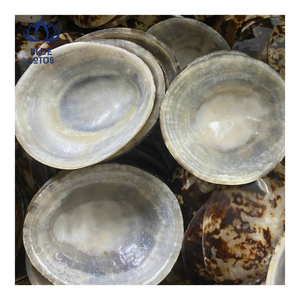 CONCHA DE LIMPISTA ECOLOGICA Y DURADERA EN OFERTA, Conchas Marinas Trituradas para Manualidades, Decoración Costera, Suministros de Arte en Resina de Blue Lotus - Product Image 1