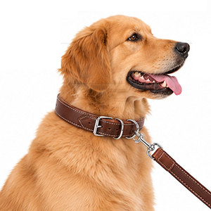 Collar Clásico de Cuero Sólido para Perro con Correa Coordinada, Correa Ajustable, Hebilla Metálica con Anillo en D y Asa para Uso Diario - Product Image 4