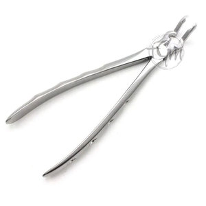 Pinzas de Extracción, Instrumento Dental Profesional de Acero Inoxidable, Equipo de Extracción para Cirugía Oral - Product Image 2