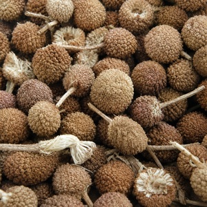 Fleurs séchées de Spilanthes acmella, matière première végétale - Product Image 2
