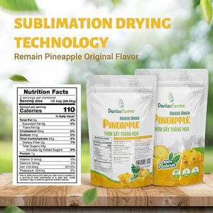Premium Vietnam Freeze Dried <b>Pineapple</b> Slices 100% Natural Crunchy Fruit Snacks No Added Sugar BRCGS ISO Certified Bulk - Product Image 4
