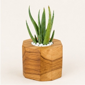 Maceta Hexagonal de Madera Hecha a Mano para Suculentas, Ecológica, Geométrica, de Madera Maciza, para Decoración de Interiores del Hogar y Oficina - Product Image 1