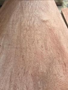 Panneaux de placage de Surface Bintangor/Okume/pin commerciaux contreplaqué noyau de bois dur moderne décoration domestique E1/E2 formaldéhyde - Product Image 3