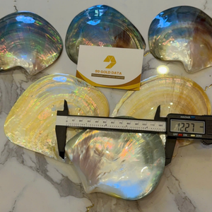 จานไข่มุกคุณภาพสูง สีเหลืองธรรมชาติ ขนาด 9-12 ซม. บรรจุกล่อง - CARYLN - Product Image 1