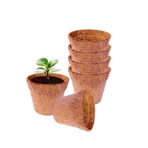 Maceta de Fibra de Coco Premium, Ecológica y Biodegradable, para Cultivar Flores, Hierbas y Vegetales - Product Image 2