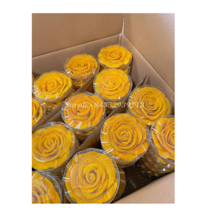 Mango Deshidratado en Rodajas al por Mayor, Suministro Directo de Fábrica, Vietnam, Empaque a Granel, Fruta Deshidratada, Precio Competitivo, OEM, Marca Privada - Product Image 1