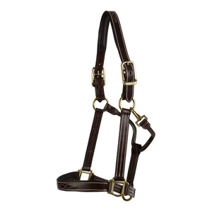 Harnais en cuir artisanal pour cheval avec sangles réglables et boucles en laiton, collier équestre pour l'écurie, les ranchs et l'entraînement - Product Image 1